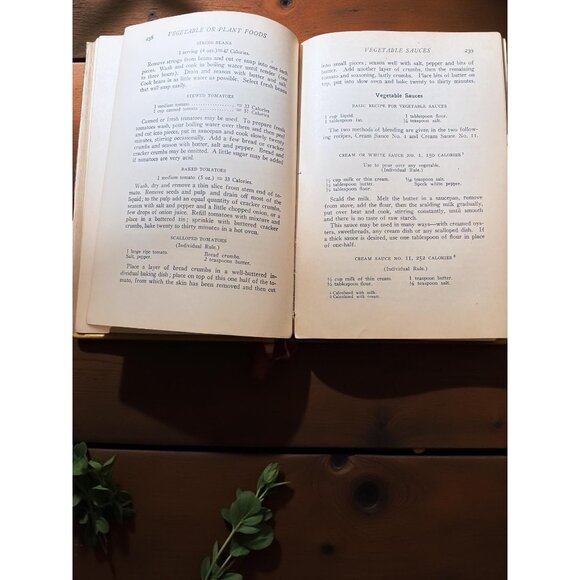 1928 Practical Dietetics – Medical & Nursing Reference on Diet in Health PATTEE - Picture 7 of 7